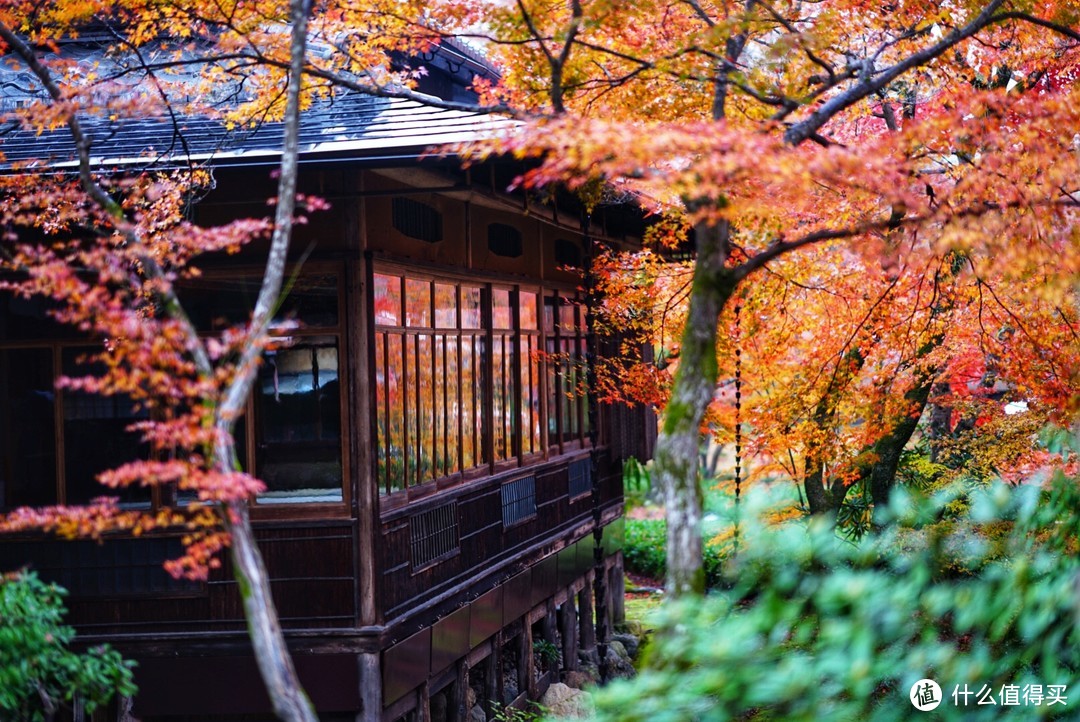 没有让人失望的打卡景点！京都岚山篇