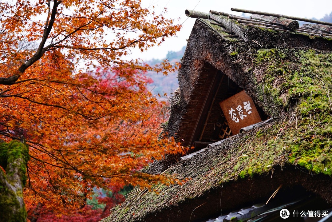 京都嵐山一日遊攻略 | 京都嵐山景點推薦_什麼值得買