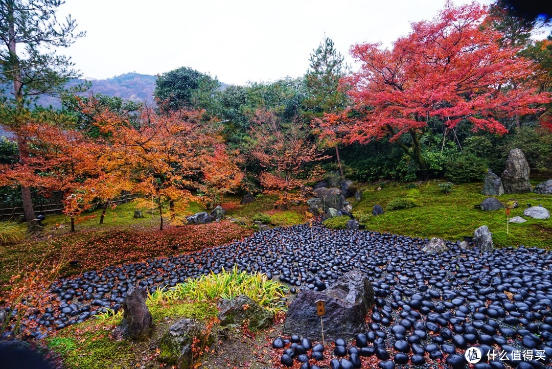 没有让人失望的打卡景点！京都岚山篇