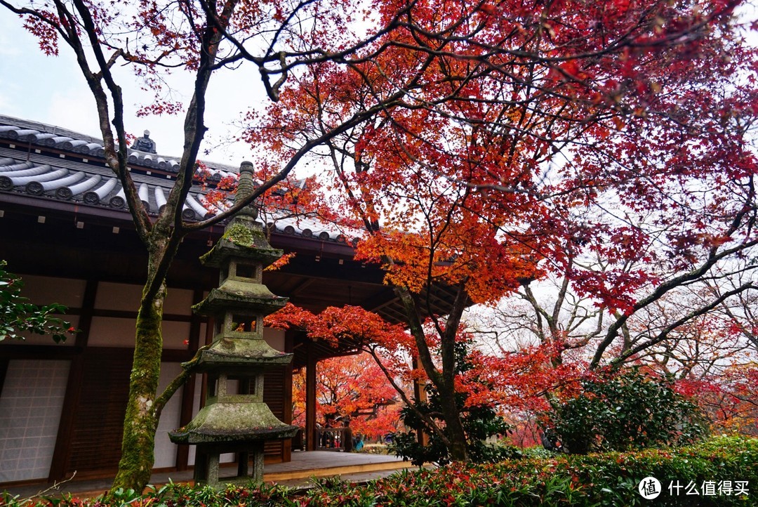 没有让人失望的打卡景点！京都岚山篇