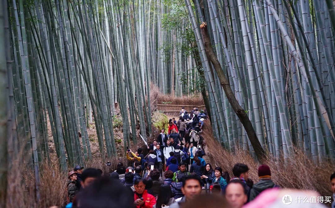 没有让人失望的打卡景点！京都岚山篇