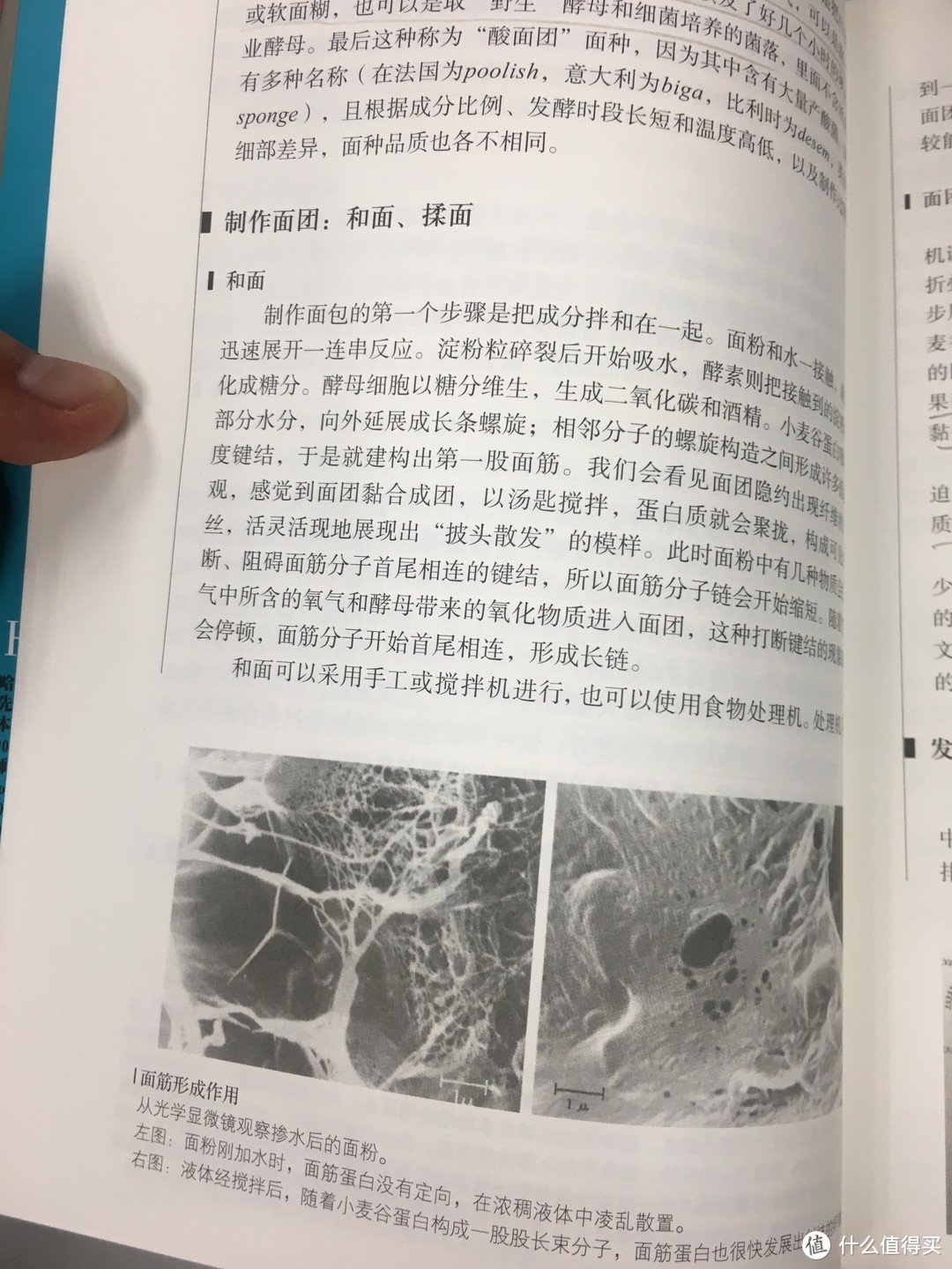 #晒单大赛#理工男教做饭有多可怕？看这本书就知道了——《食物与厨艺》站内首晒