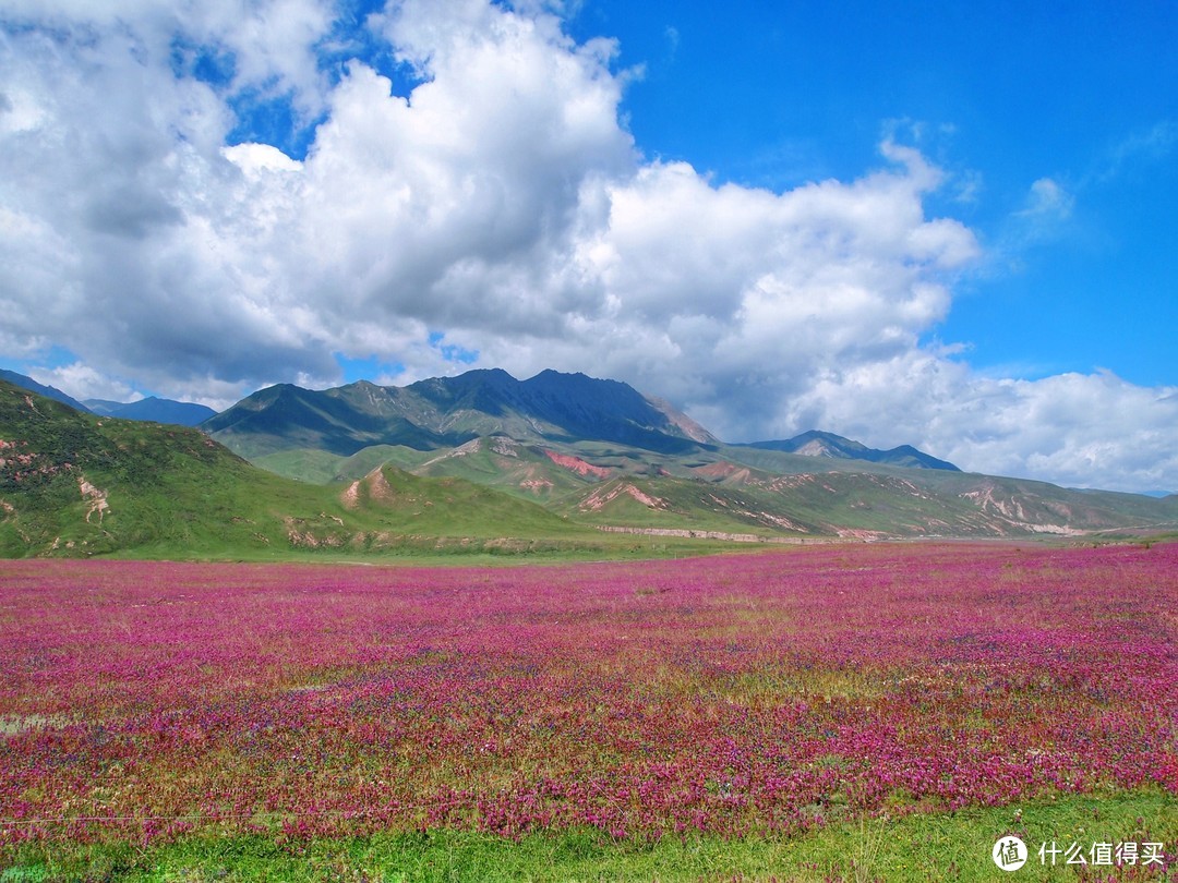 穿越无人区，迷失夏格尔，绝美风光大西北（上篇）