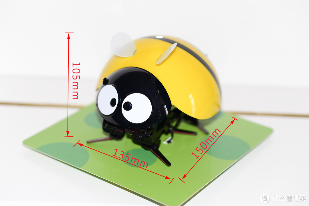 纳尼？跑的比贼还快？——DFRobot出品逗逗虫机器人众测