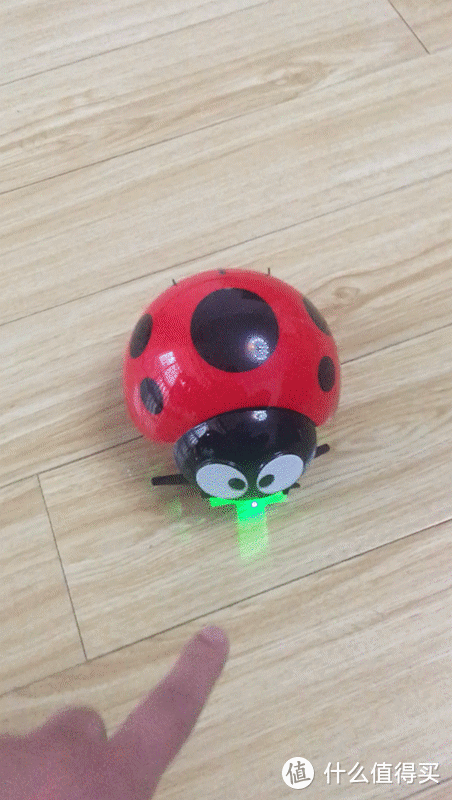 一款萌萌的创意玩具--瓢虫机器人