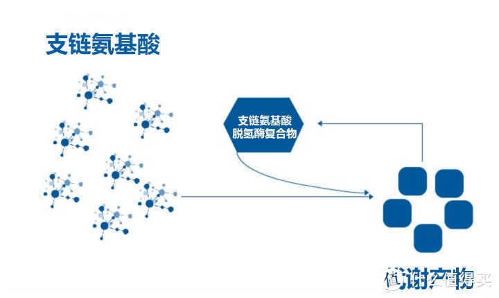 【轻众测】无糖无防腐剂无咖啡因的运动饮料，百淬固体运动粉水初体验