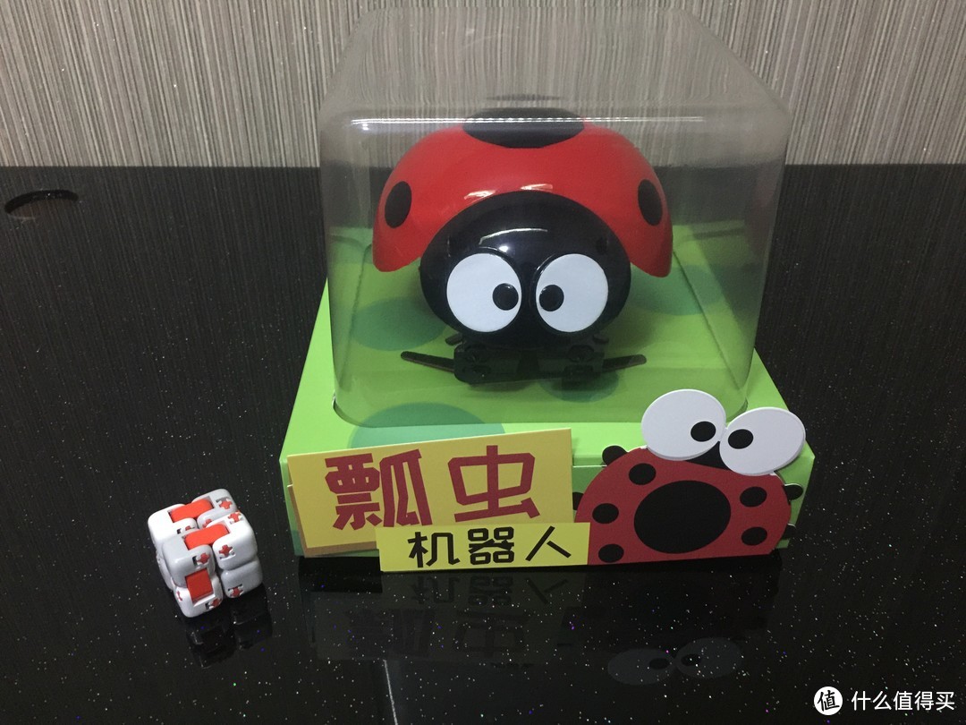 大眼萌物——DFRobot出品 逗逗虫机器人 瓢虫机器人