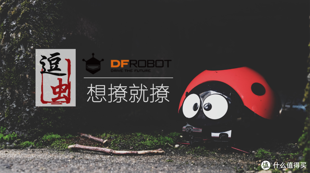 溜娃撸猫，不如无线逗虫：想撩就撩的逗逗虫（DFRobot仿生机器人）