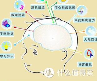 幼儿十种常见兴趣班全分析，上学前到底该学点什么？