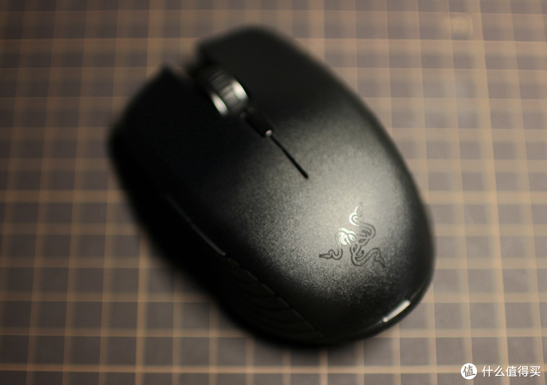 #本站首晒# RAZER 雷蛇 刺鳞树蝰！和雷蛇其他那些妖艳货色不一样！