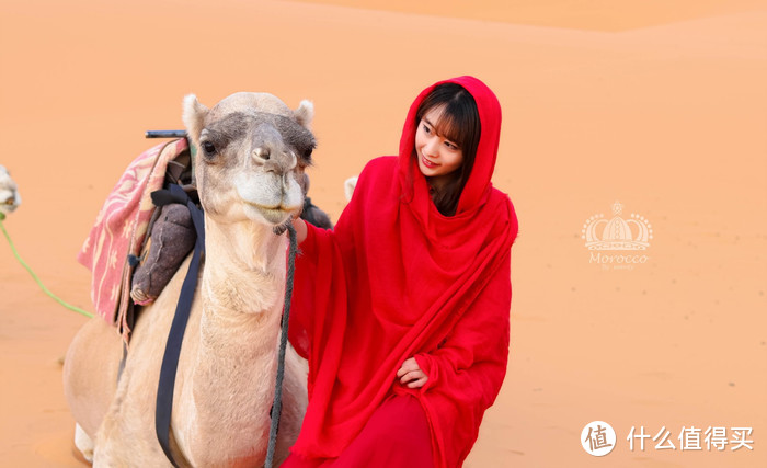 走进一千零一夜的时光之旅，共赴一场神秘之约