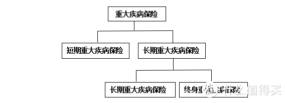 定期寿险、重疾险、意外险选择时该注意什么