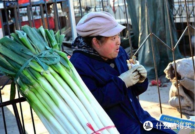 从没进过菜市场的你也能帮妈妈买年货了— 理论省钱篇