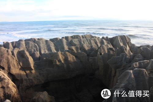 与鲸鲨同游，还有沙丁鱼风暴？这4个海豚圣地好玩到你不想走