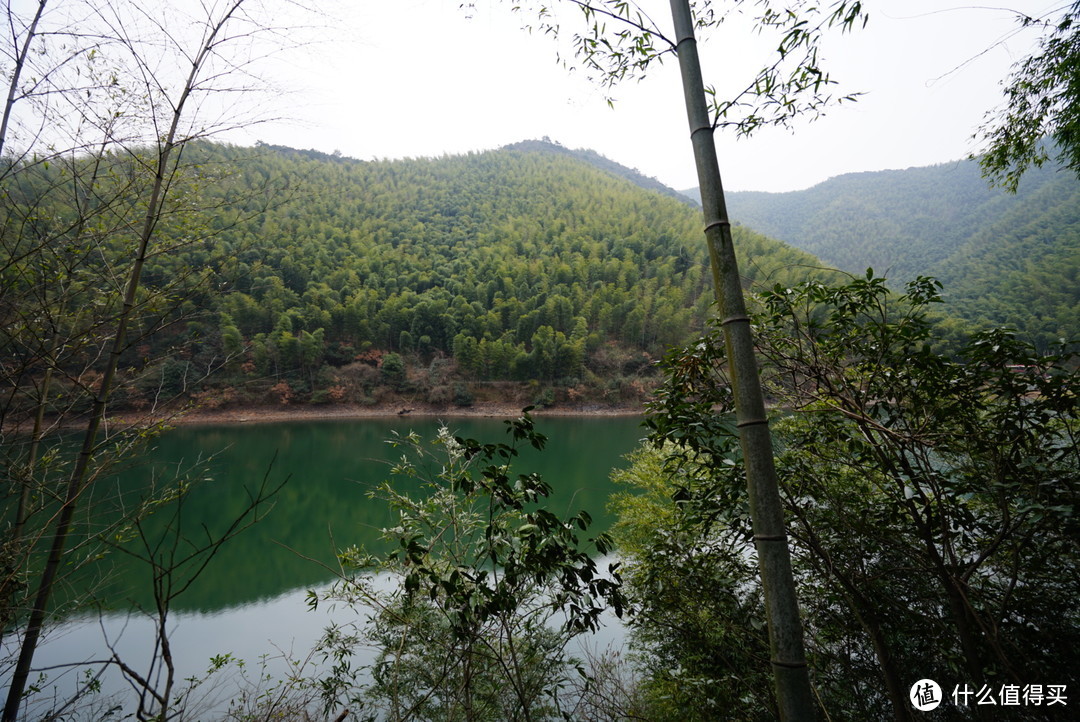 温泉，树屋，无边泳池，茶园—溧阳美芥山野温泉酒店入住体验和周边游记