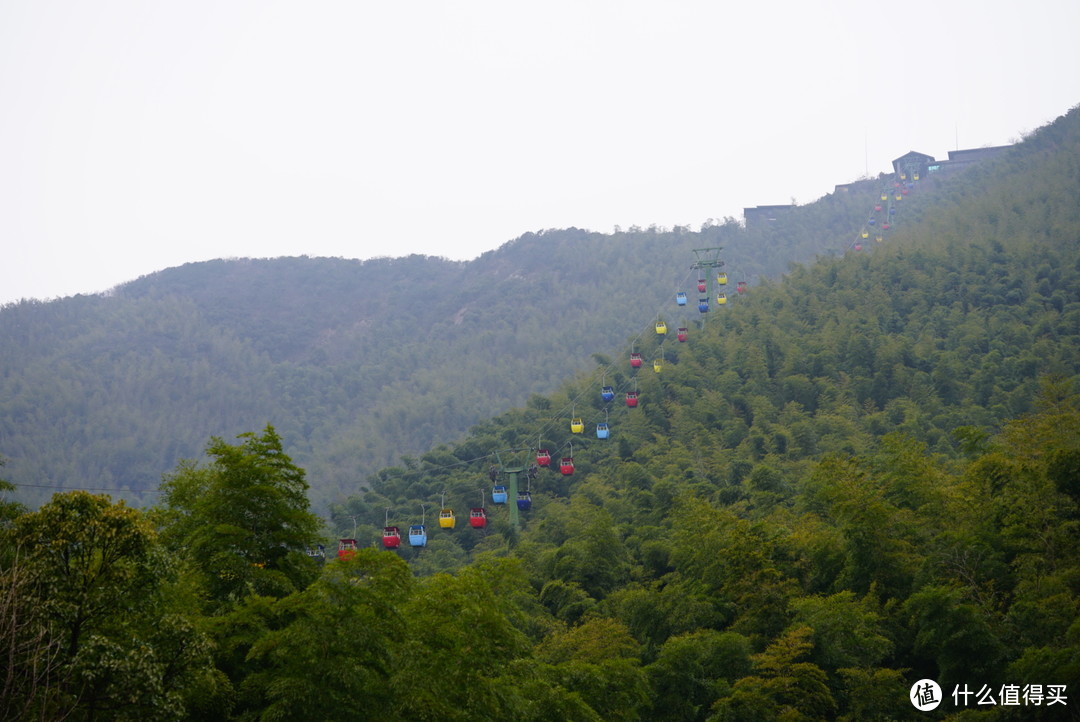 温泉，树屋，无边泳池，茶园—溧阳美芥山野温泉酒店入住体验和周边游记