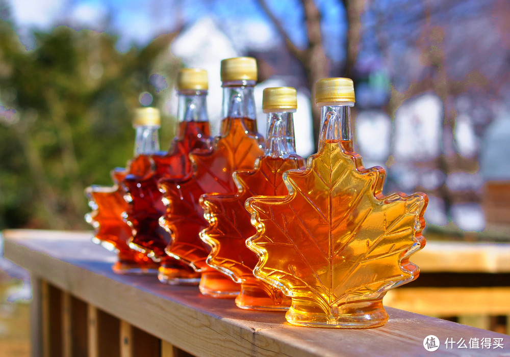 18年物种日历篇五 枫糖 来自枫叶之国加拿大的液体宝藏 食品生鲜 什么值得买