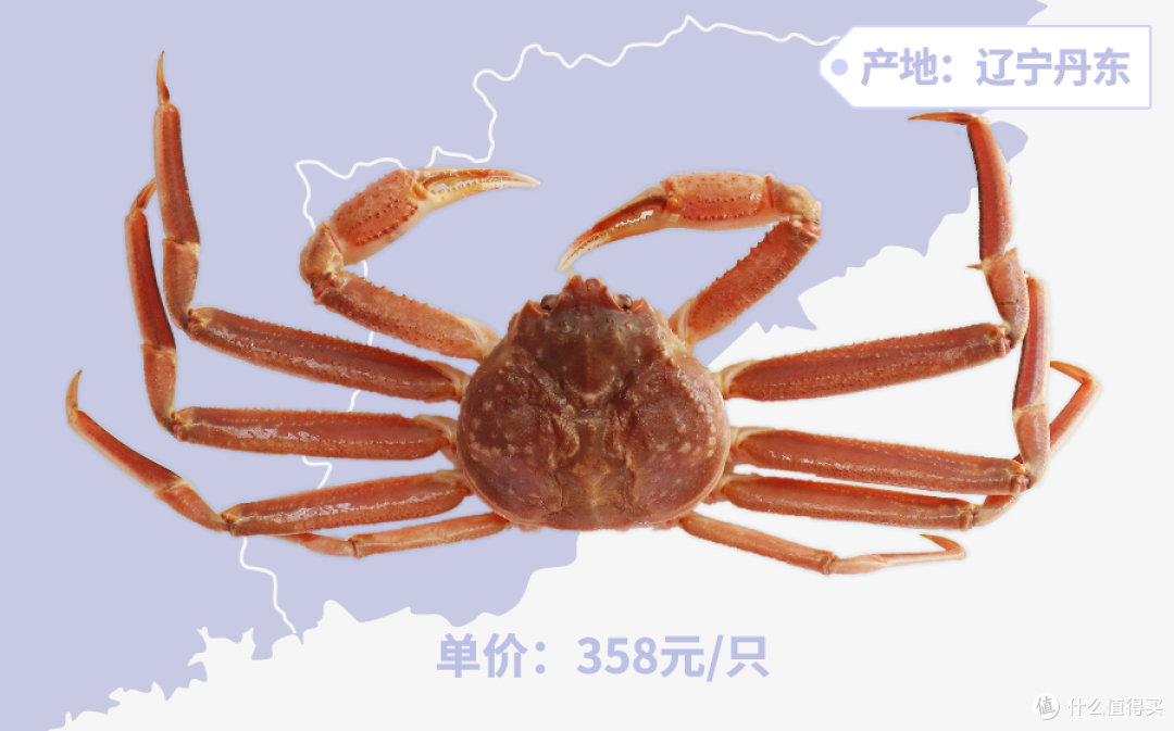 收到一只5斤重的活帝王蟹 要怎么办 在线等 蟹类 什么值得买