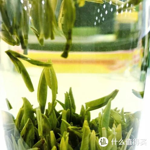 #年货大作战#【茶叶篇】我就问，有木有你喜欢的那款茶？