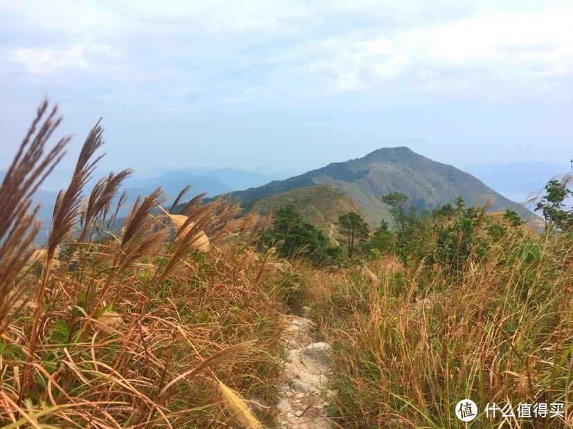 阅尽千山只为你 卫奕信径