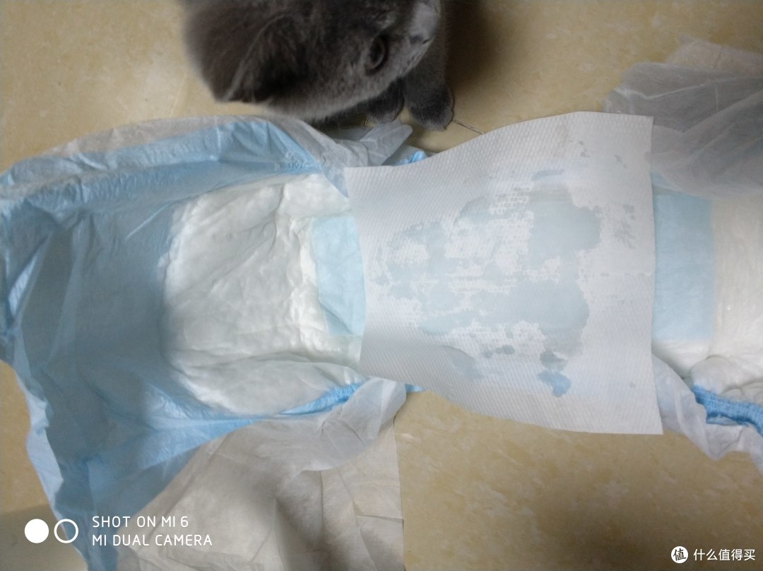 prevail/陪维尔来自的美国的专业失禁护理先锋企业_成人纸尿裤_什么