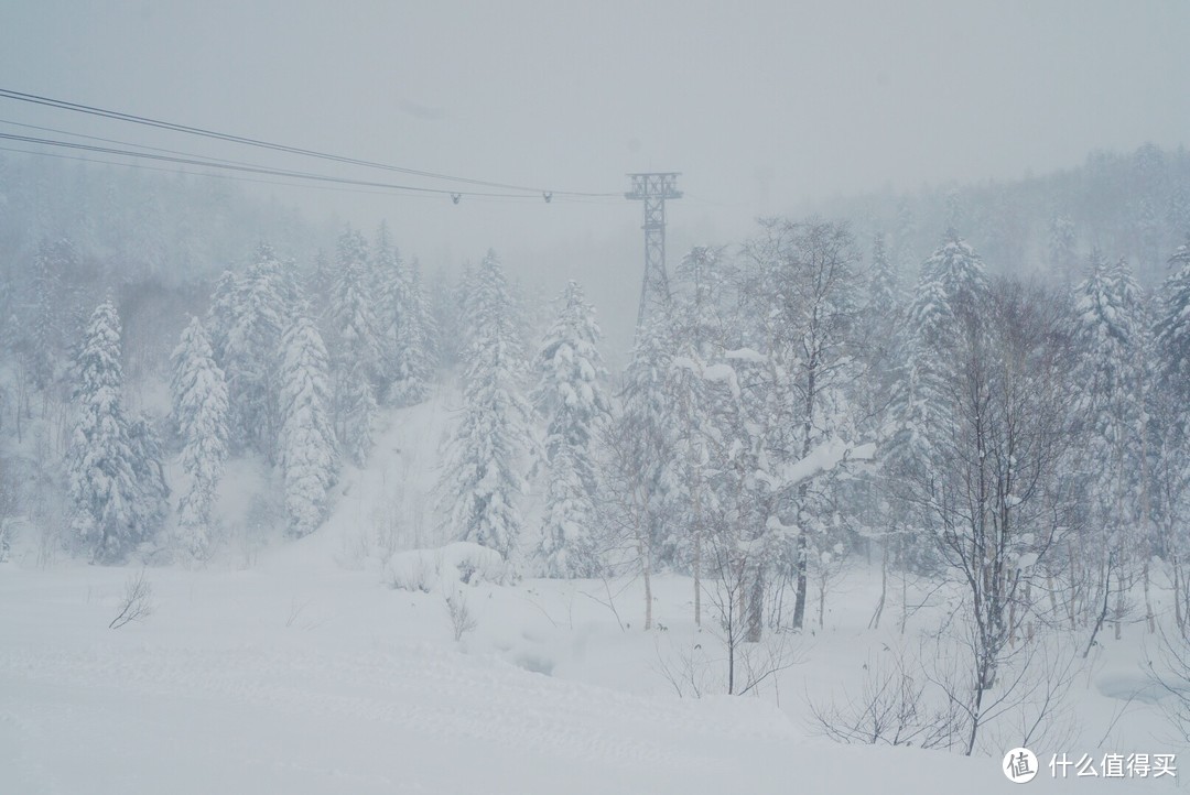 终于去北海道看雪了！北海道自由行新手攻略