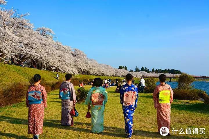 又要人少又要景好，日本赏樱去哪里？