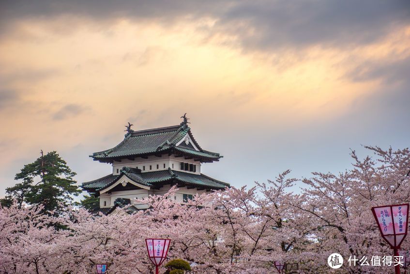 又要人少又要景好，日本赏樱去哪里？