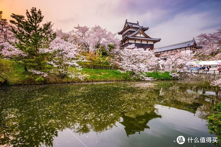 又要人少又要景好，日本赏樱去哪里？