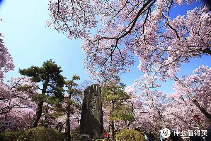 又要人少又要景好，日本赏樱去哪里？