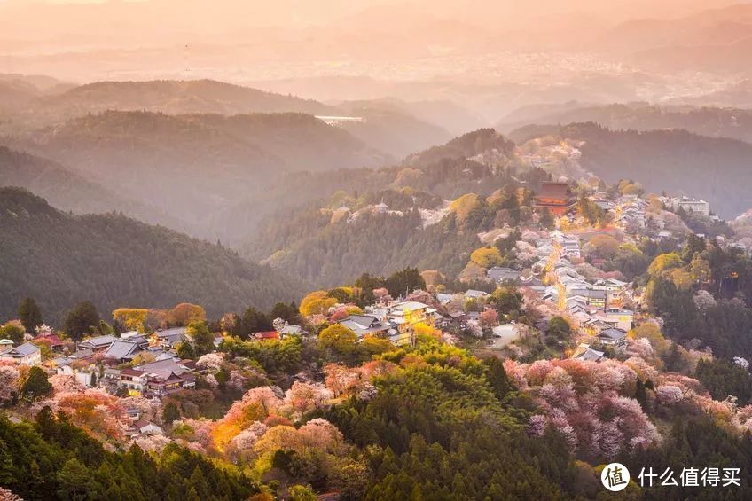 又要人少又要景好，日本赏樱去哪里？