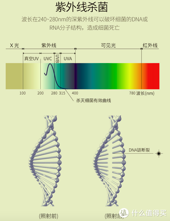 紫外线杀菌原理图