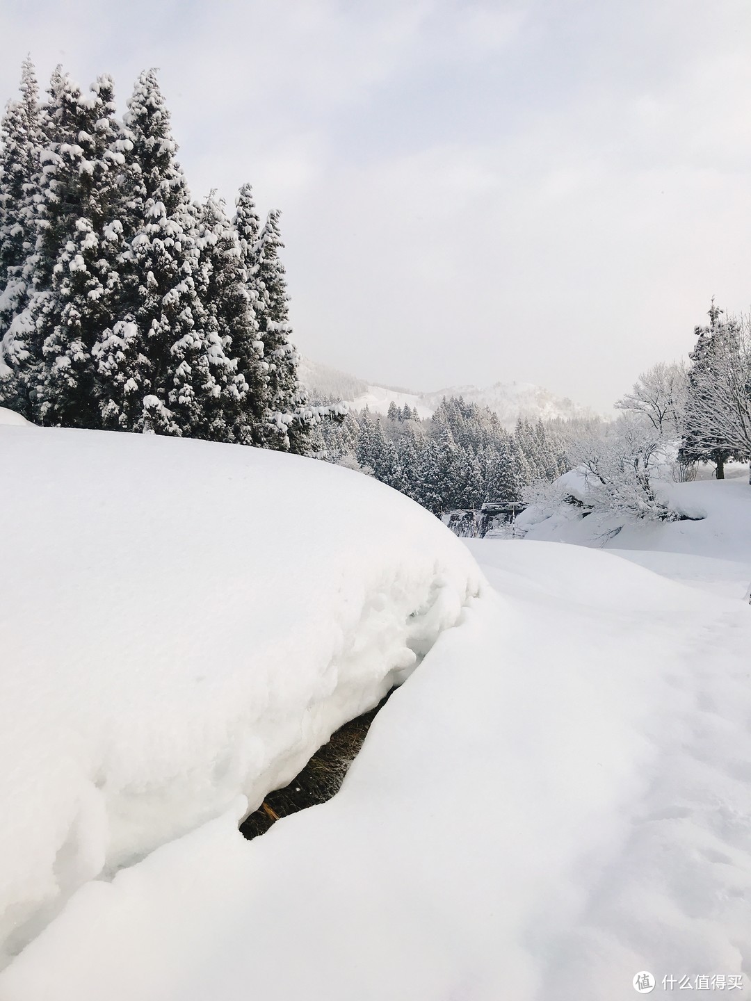 雪国绝景温泉行：远离春节人潮的静谧度假之旅