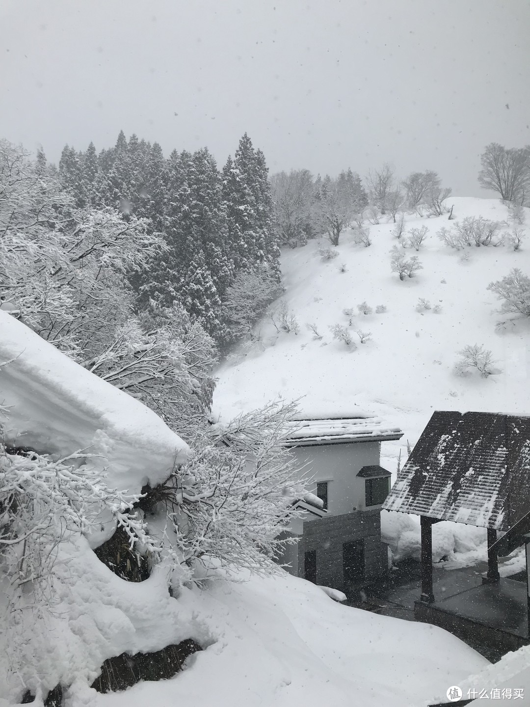 雪国绝景温泉行：远离春节人潮的静谧度假之旅