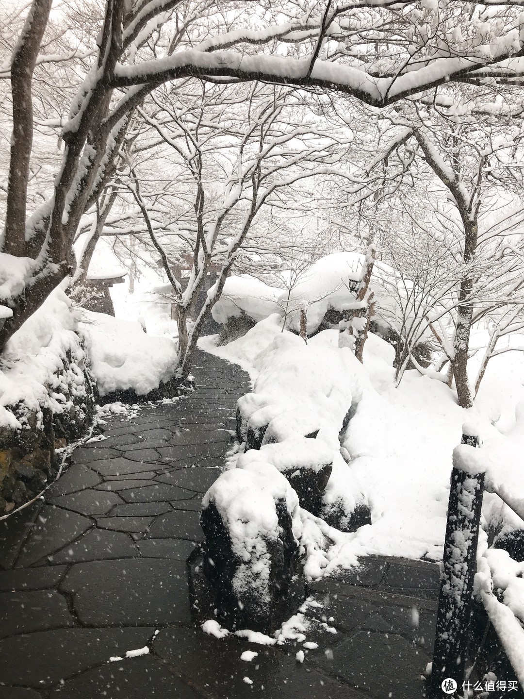 雪国绝景温泉行：远离春节人潮的静谧度假之旅