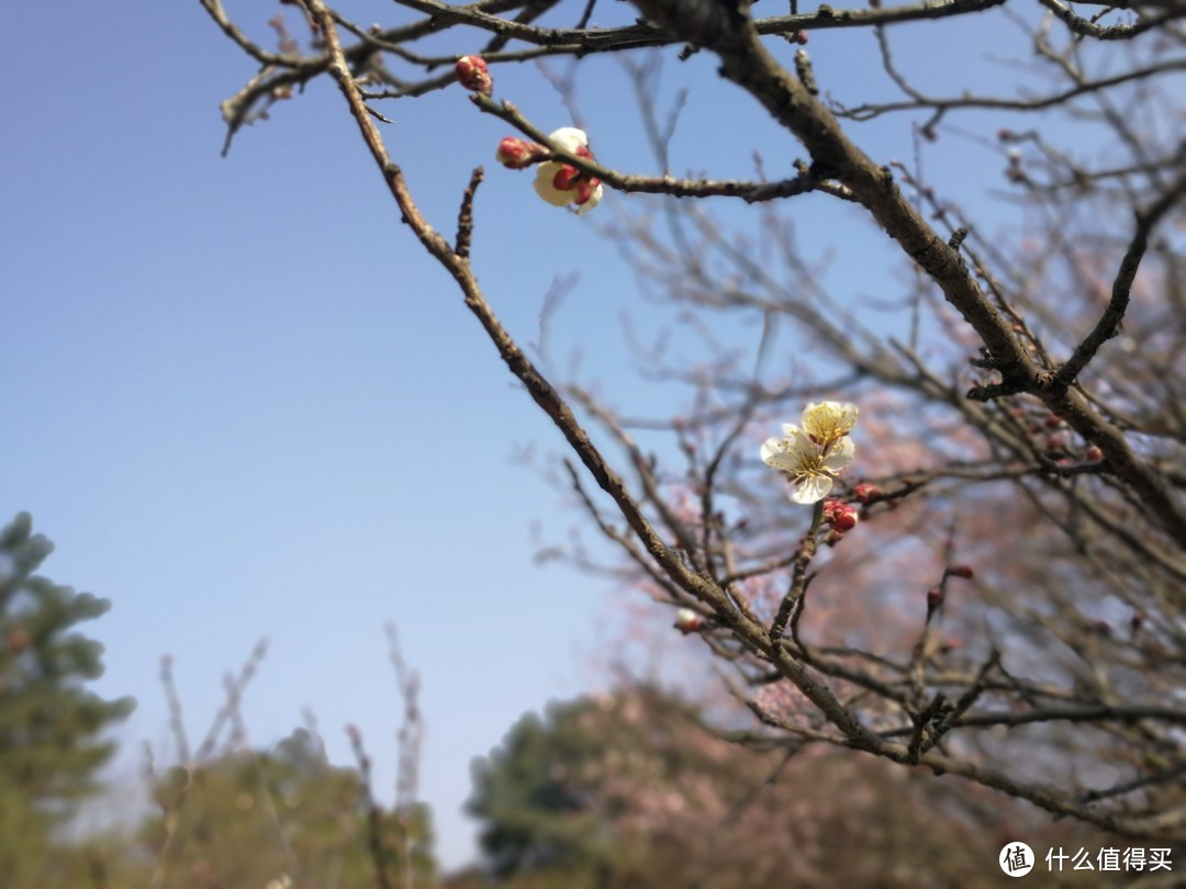 领克01除夕新年乌镇杭州自驾及2000公里体验小结