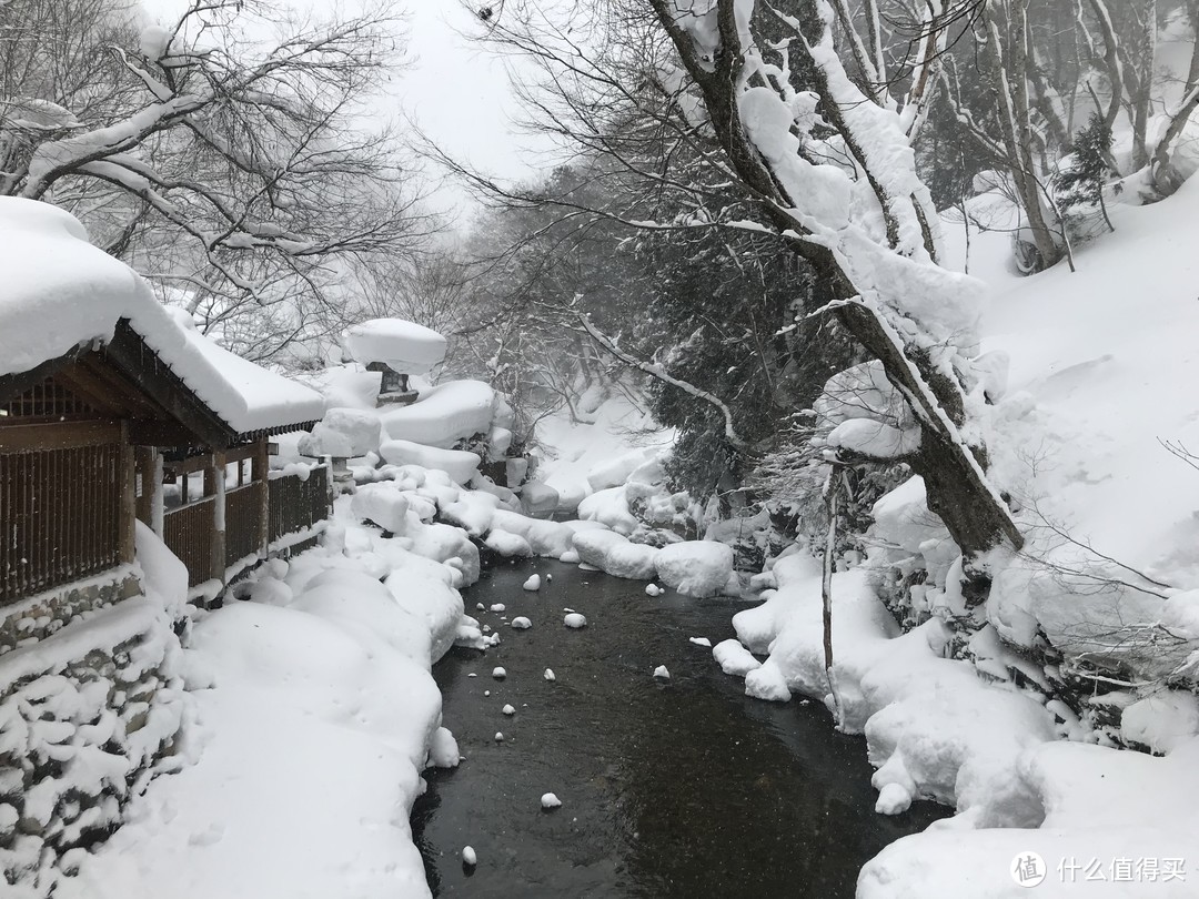 雪国绝景温泉行：远离春节人潮的静谧度假之旅