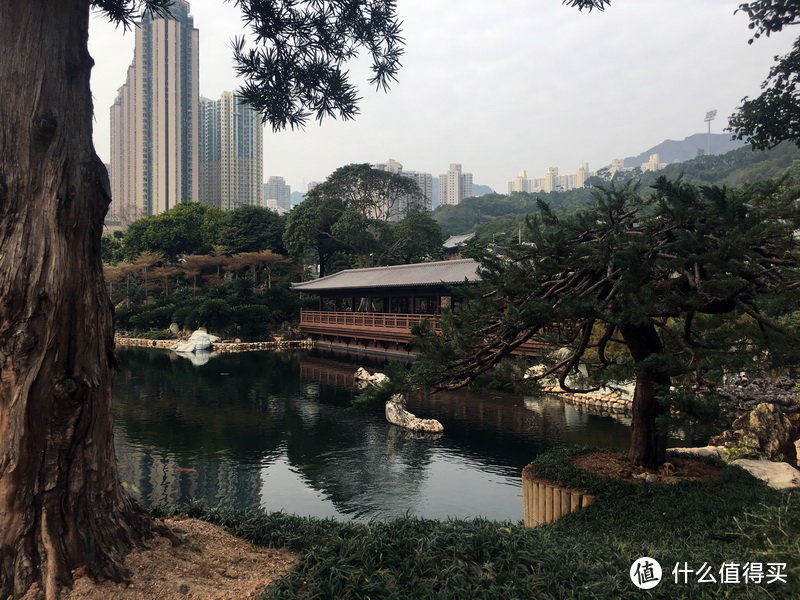 新年香港徒步—南莲园池/麦里浩径/西贡/长洲岛