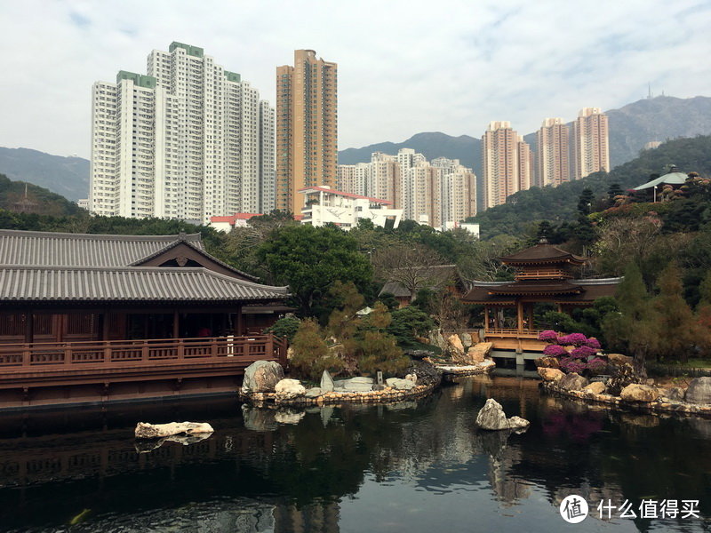 新年香港徒步—南莲园池/麦里浩径/西贡/长洲岛