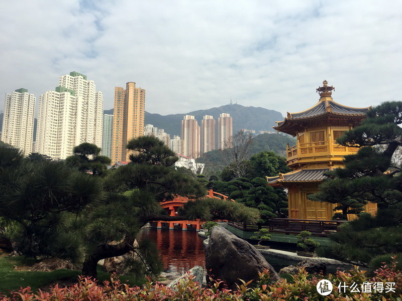 新年香港徒步—南莲园池/麦里浩径/西贡/长洲岛