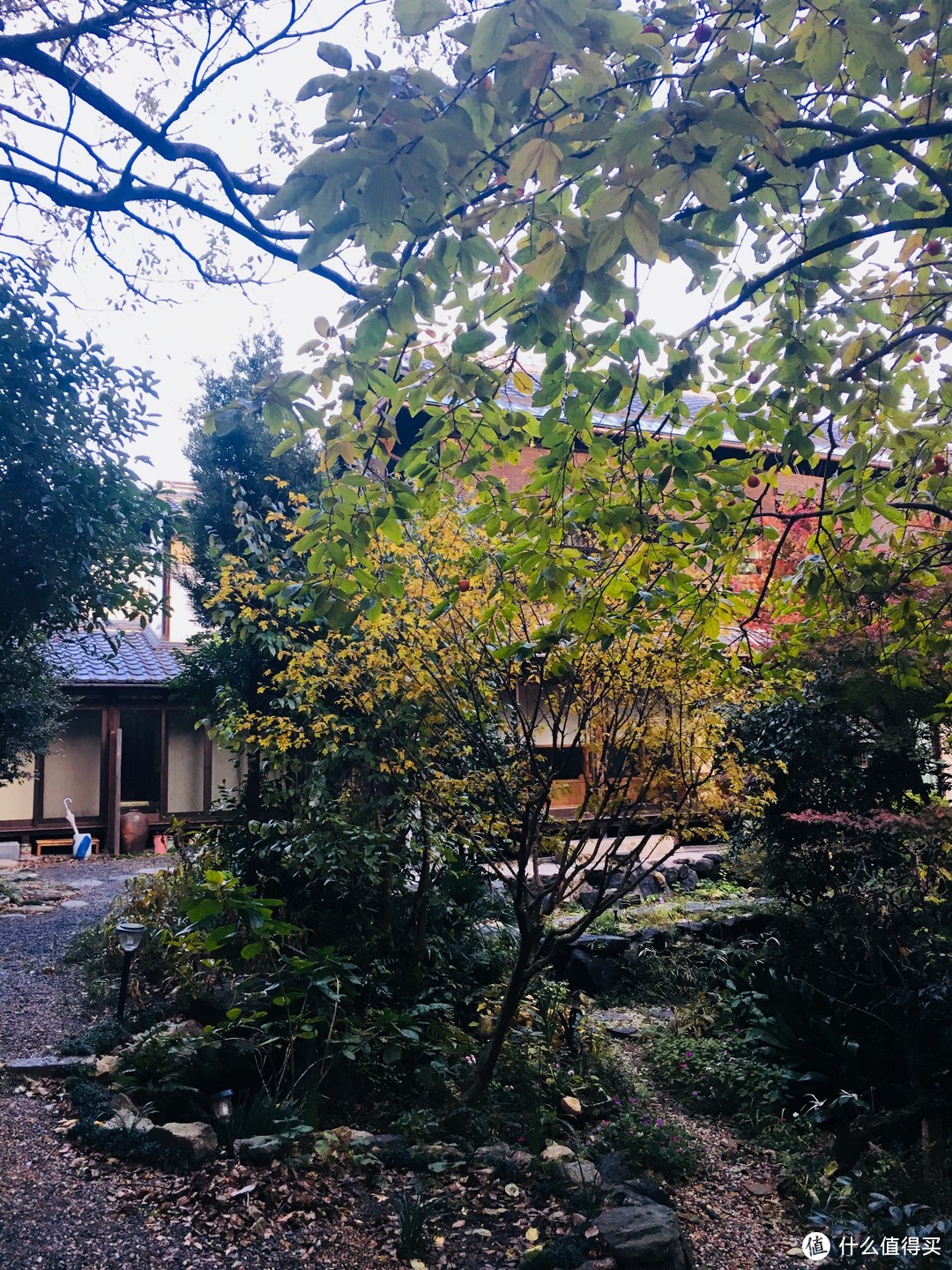 富士山下清水寺旁花见小路