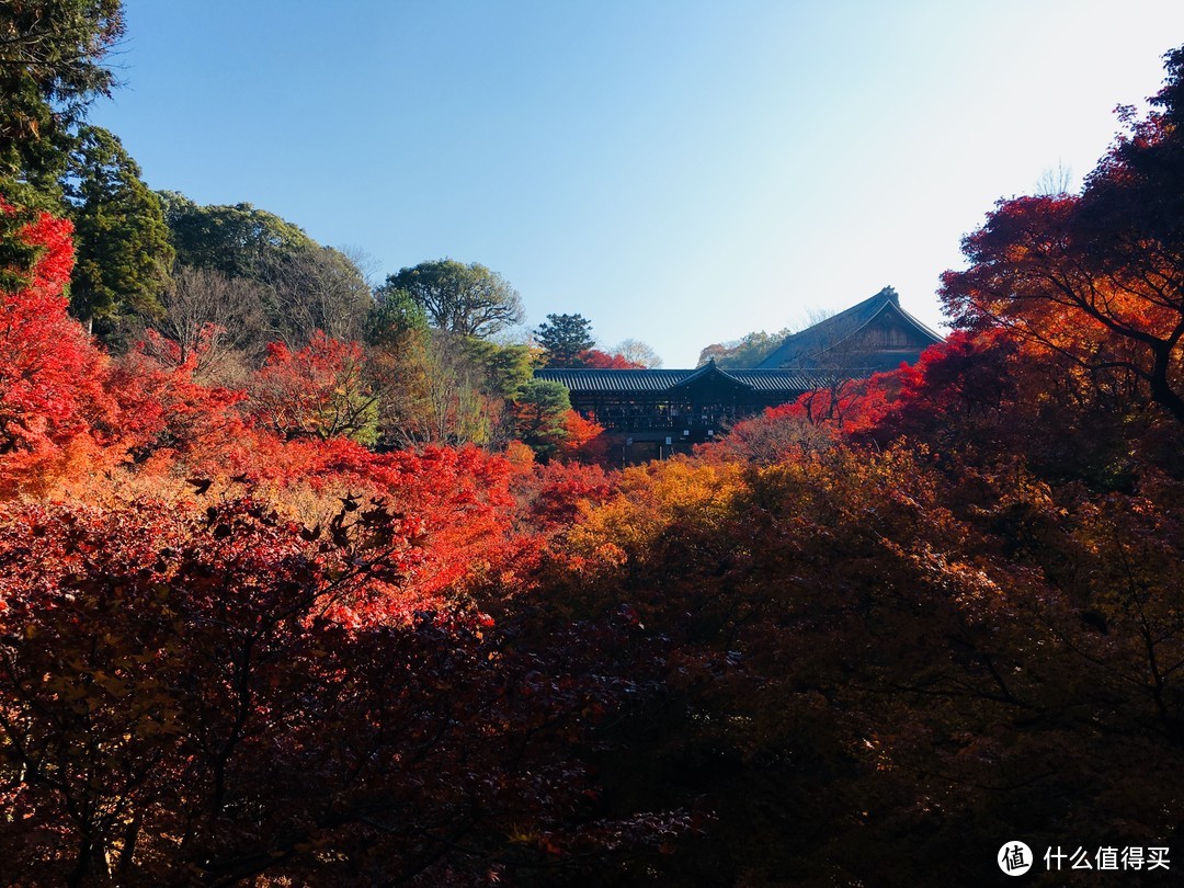 富士山下清水寺旁花见小路