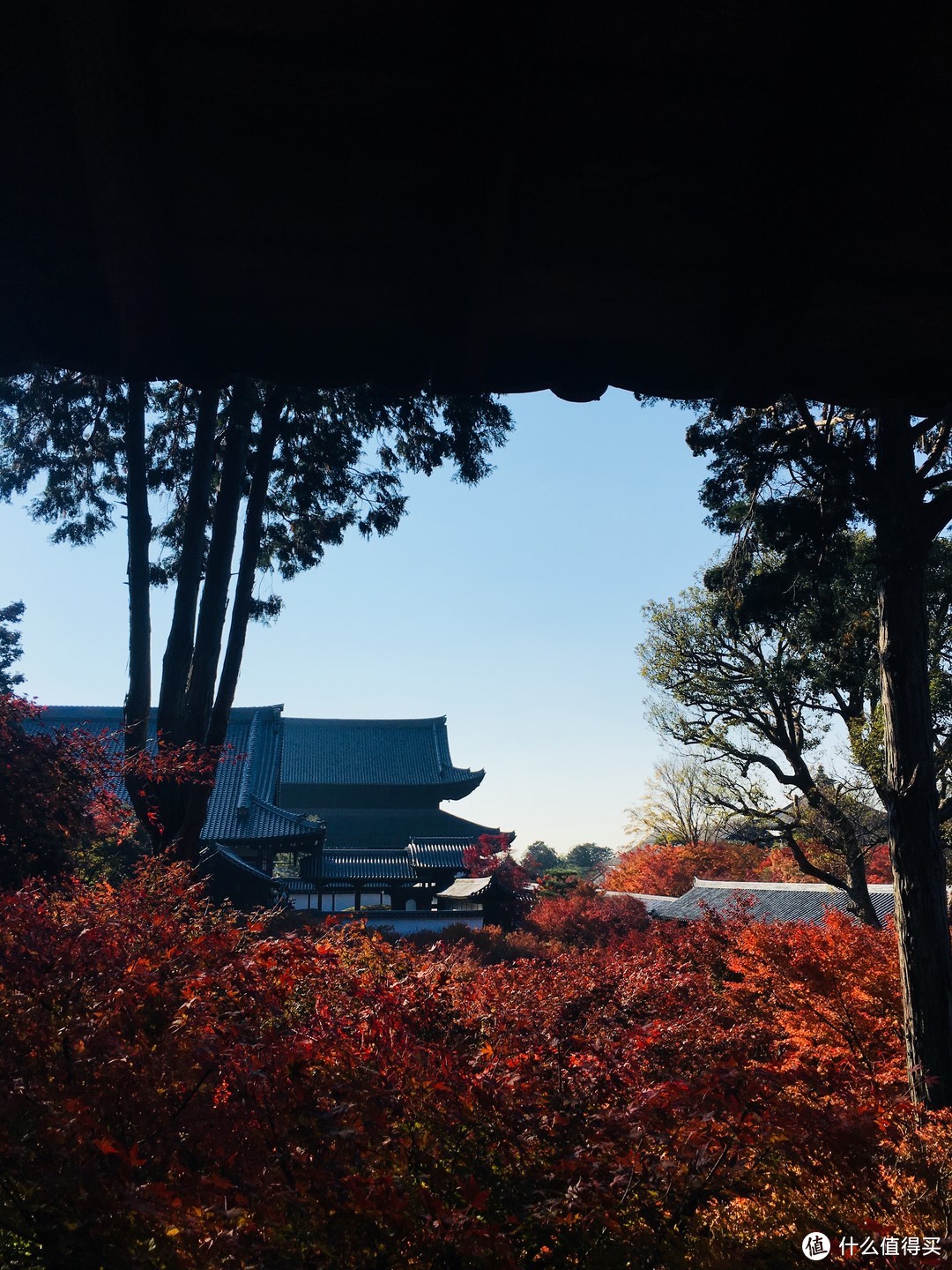 富士山下清水寺旁花见小路