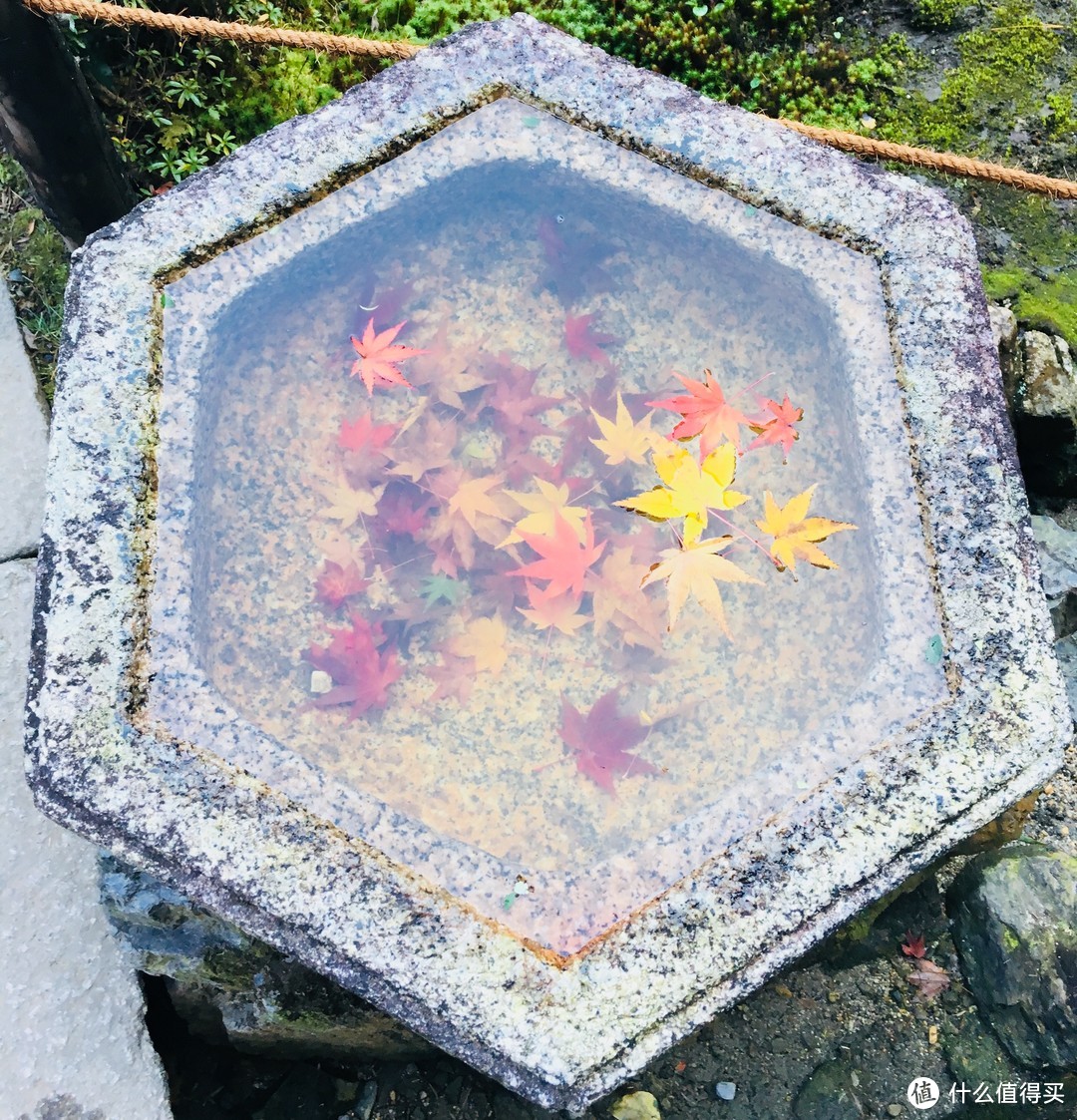 富士山下清水寺旁花见小路