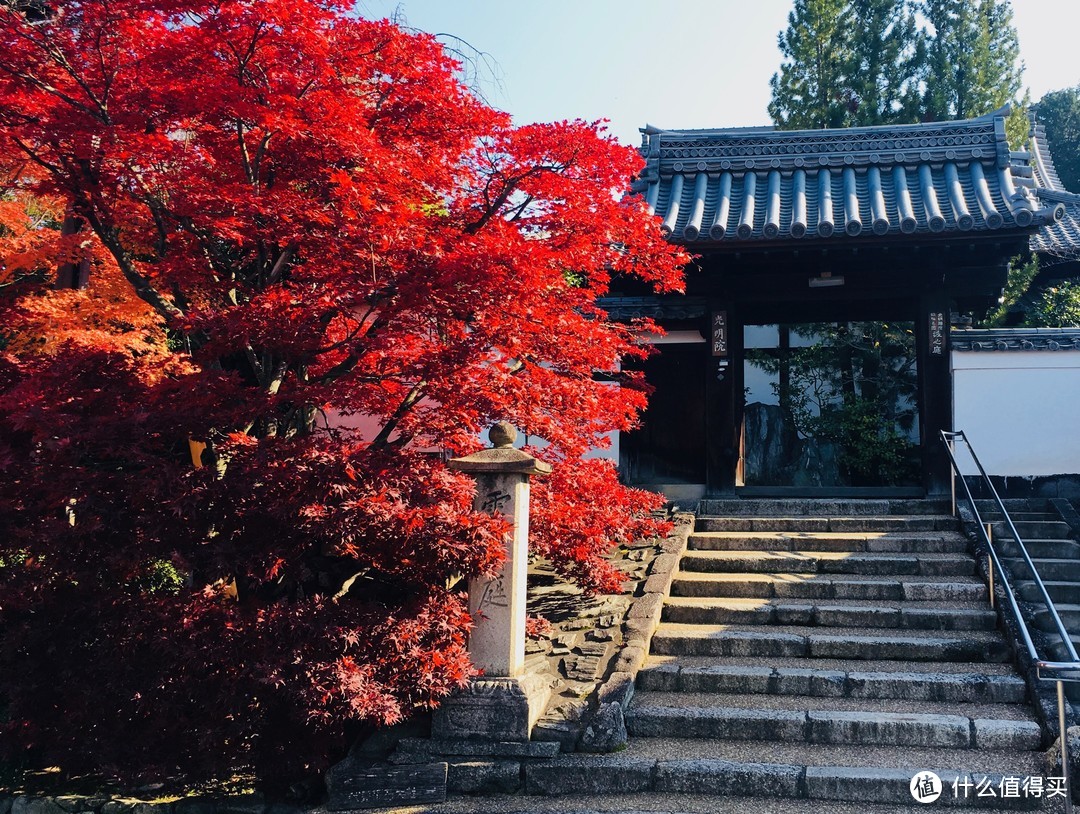 富士山下清水寺旁花见小路