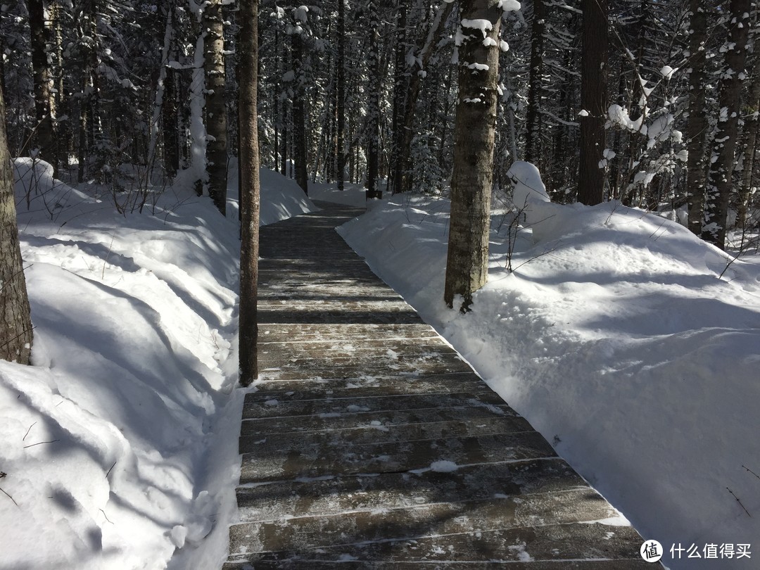 冬季长白山滑雪度假初体验