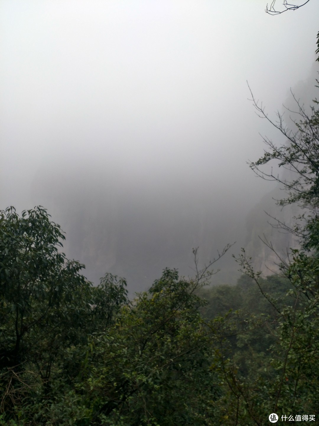 人生第一座爬的山应该是雁荡山