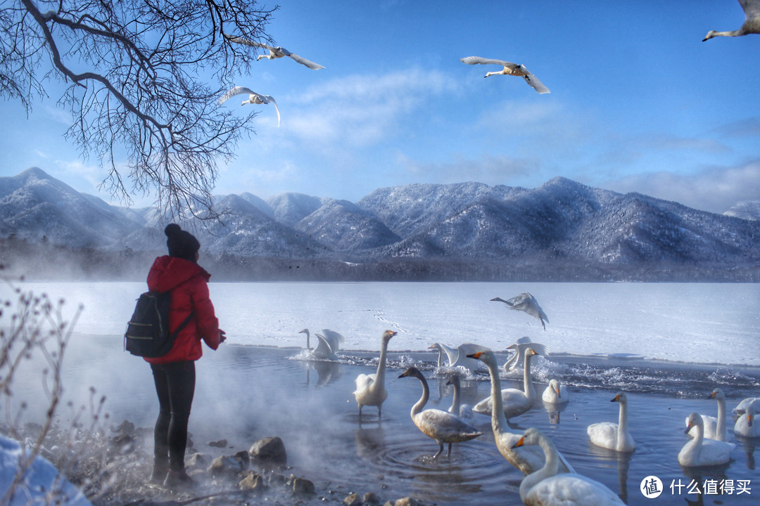 日本北海道野汤温泉之旅