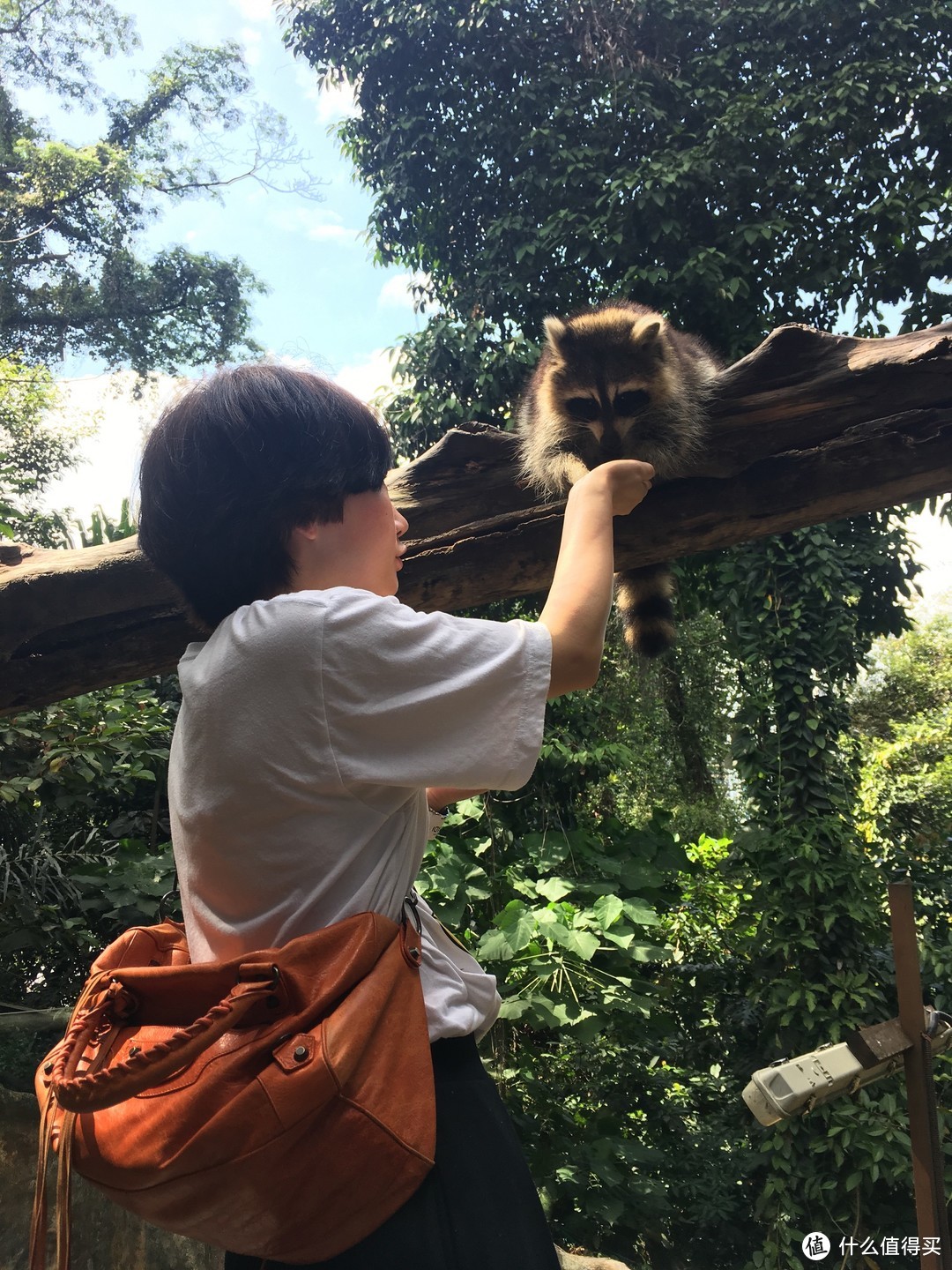 在兰卡威浪，在吉隆坡逛—一个人的大马7天游记