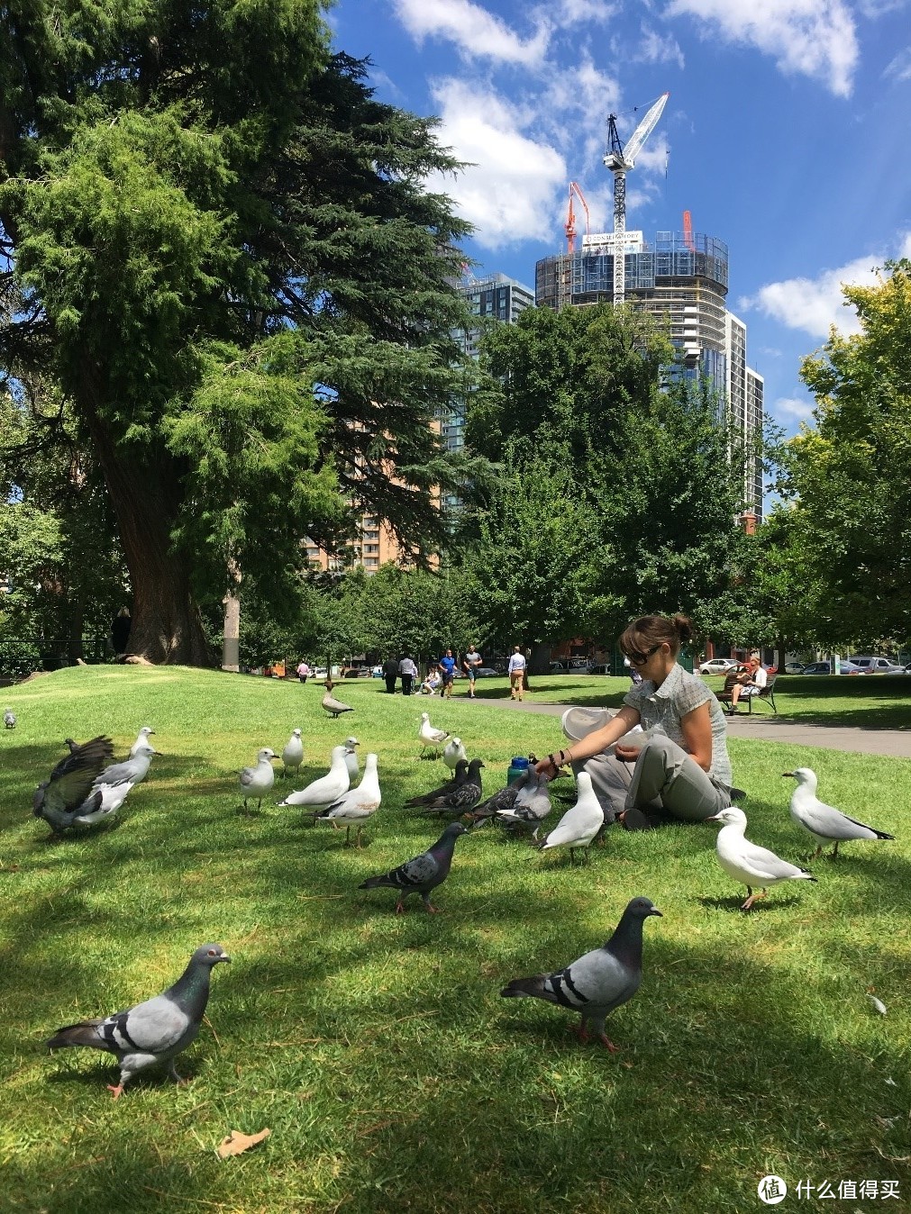 皇家植物园里面，市民与一群好吃的鸽子，这边的鸟都不怎么怕人
